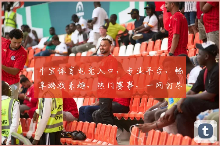 牛宝体育电竞入口，专业平台，畅享游戏乐趣，热门赛事，一网打尽，轻松登录体验
