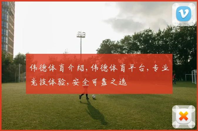 伟德体育介绍,伟德体育平台,专业竞技体验,安全可靠之选